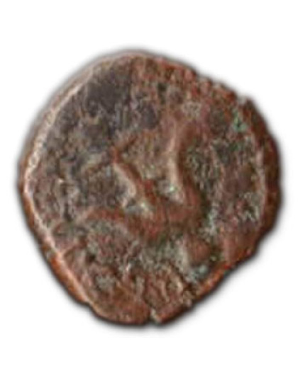 Widow's Mite and Author signed 'Money of the Bible' book